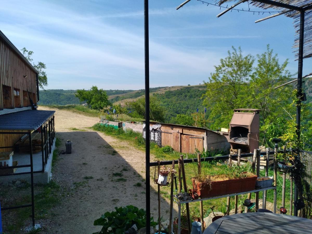 Gites De Revirand Sarras 外观 照片