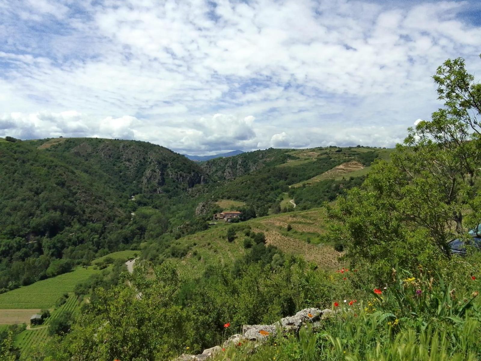Gites De Revirand Sarras 外观 照片