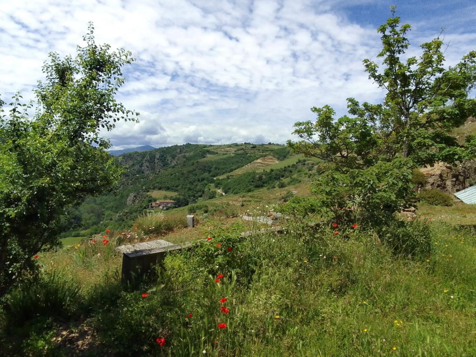 Gites De Revirand Sarras 外观 照片